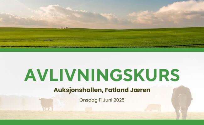 Avlivningskurs (3)