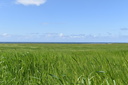 DSC 0247