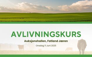 Avlivningskurs (3)