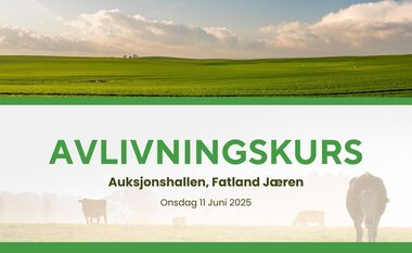 Avlivningskurs (3)
