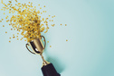 image of litllte gold cup , concept for winning or sucess