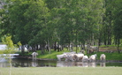 DSC 7090