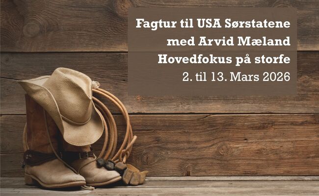 Program USA Program USA