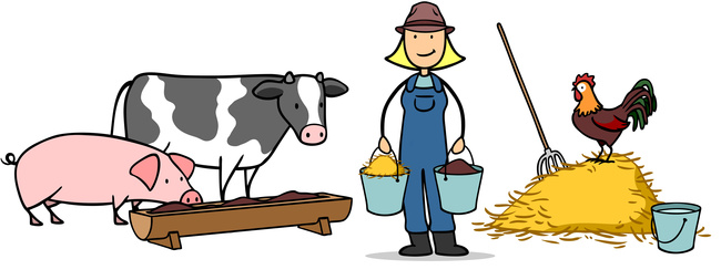 Bäuerin füttert Tiere wie Schwein und Kuh auf dem Bauernhof