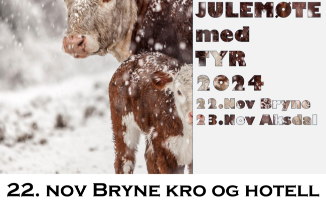 Julemøte