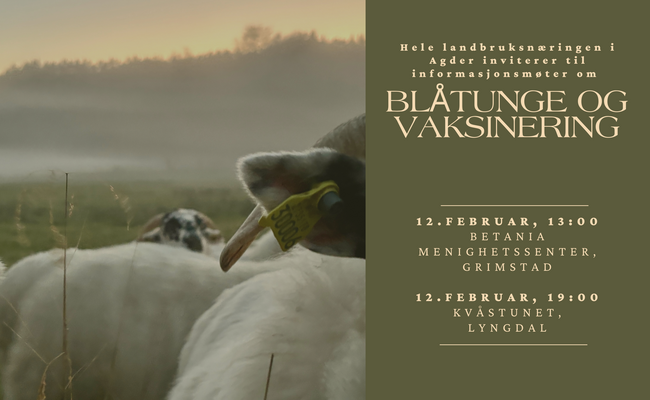 Informasjonsmøter om blåtunge og vaksinering, Agder